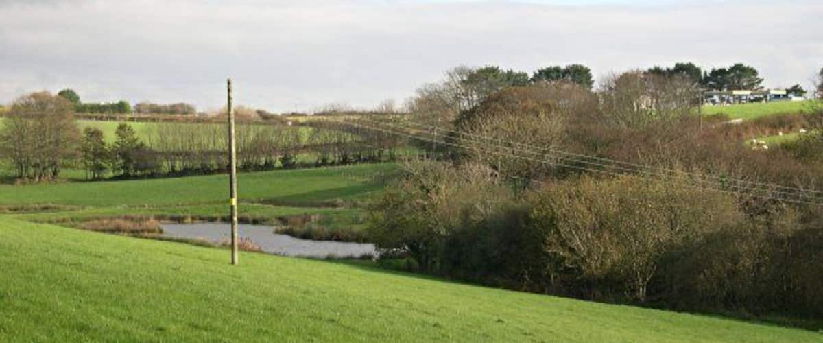 A green field with a small stream, trees, and a power line.