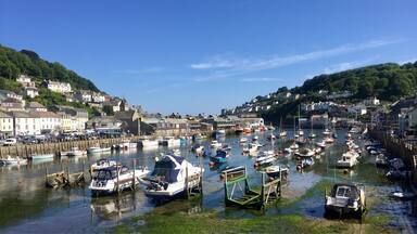A harbor with numerous boats docked, surrounded by houses and greenery.