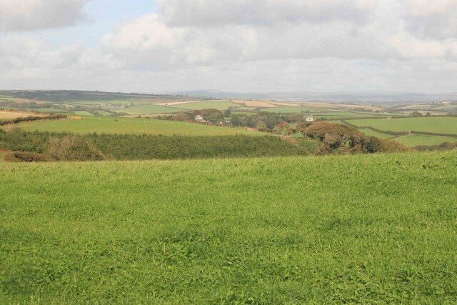 Hall Wood Looking from the Trig point towards Hall wood. there is a very steep valley below this field.You can see a long way from this place right up into Devon and distant dartmoor when the conditions are right.