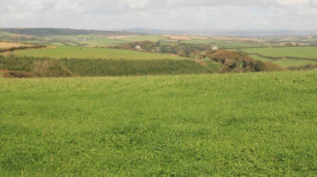 Hall Wood Looking from the Trig point towards Hall wood. there is a very steep valley below this field.You can see a long way from this place right up into Devon and distant dartmoor when the conditions are right.