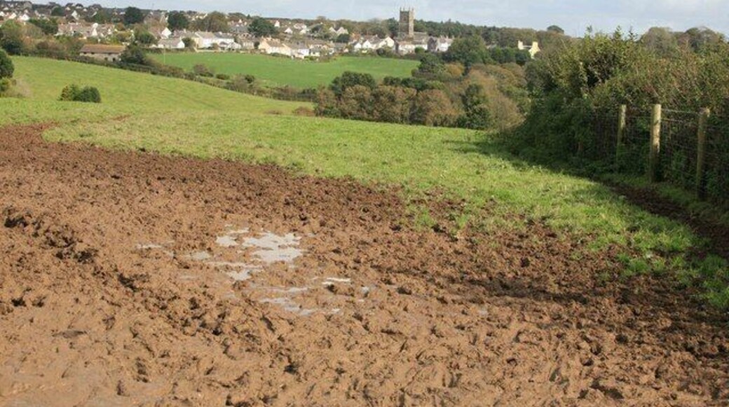 Mud plenty of it A gateway by Hendra farm has plenty of mud while in the distance Pelynt Church stands out with the village around it.