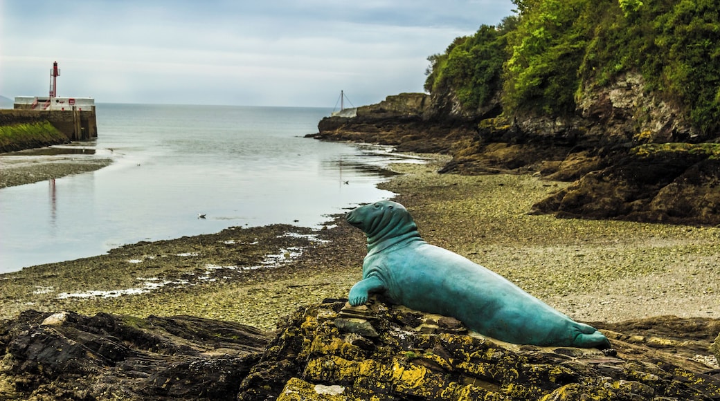 Blue Seal at Looe
