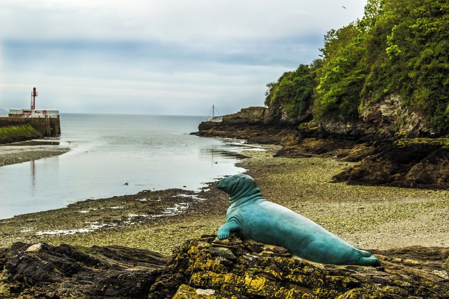 Blue Seal at Looe