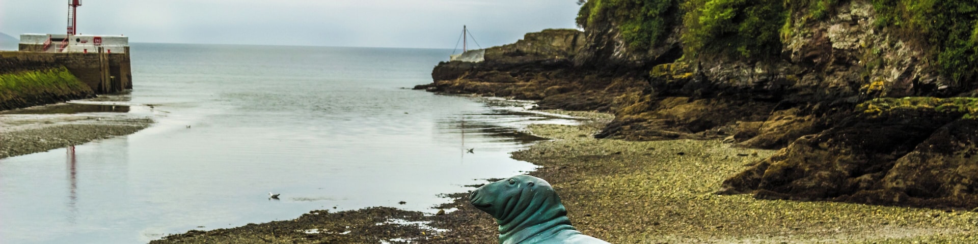Blue Seal at Looe