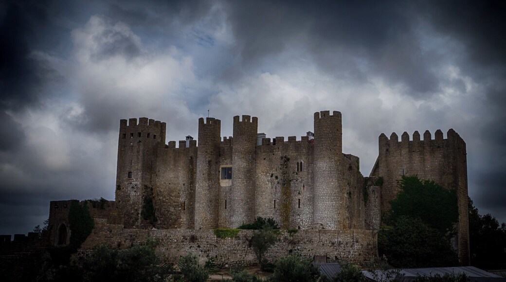 Óbidos is a Portuguese town in the district of Leiria, in the Centre Portuguese region and close to the Atlantic Ocean coast. The name Óbidos comes from the Latin “oppidum”, which means “fortified city”. Definitely a "must see destination" on your next trip to this surprising country.
Find more here http://bit.ly/1NjgnA5