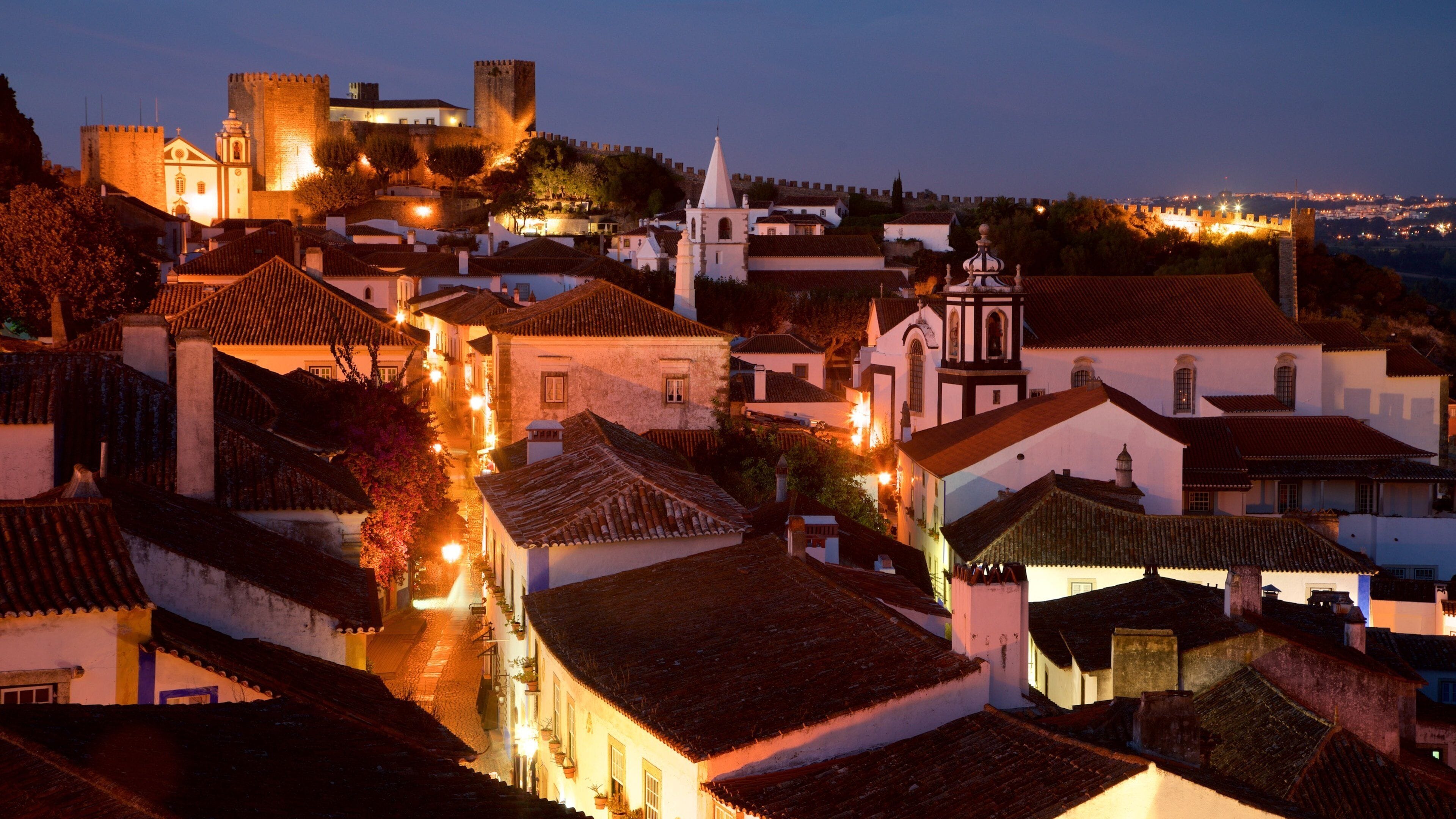 A historic town with a prominent castle, terracotta-roofed buildings, and a river.