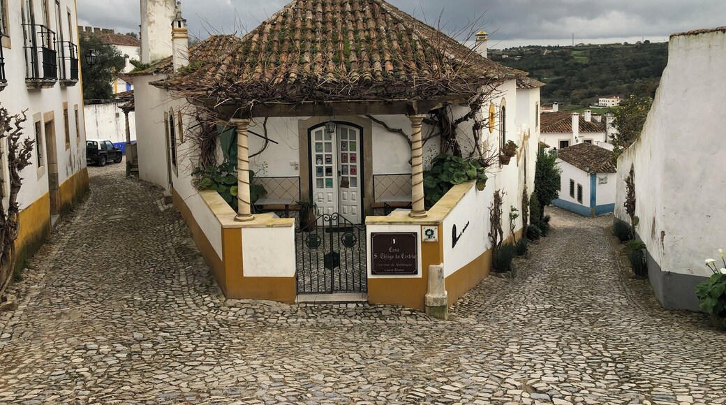 It doesn’t get any cuter than Óbidos, Portugal.