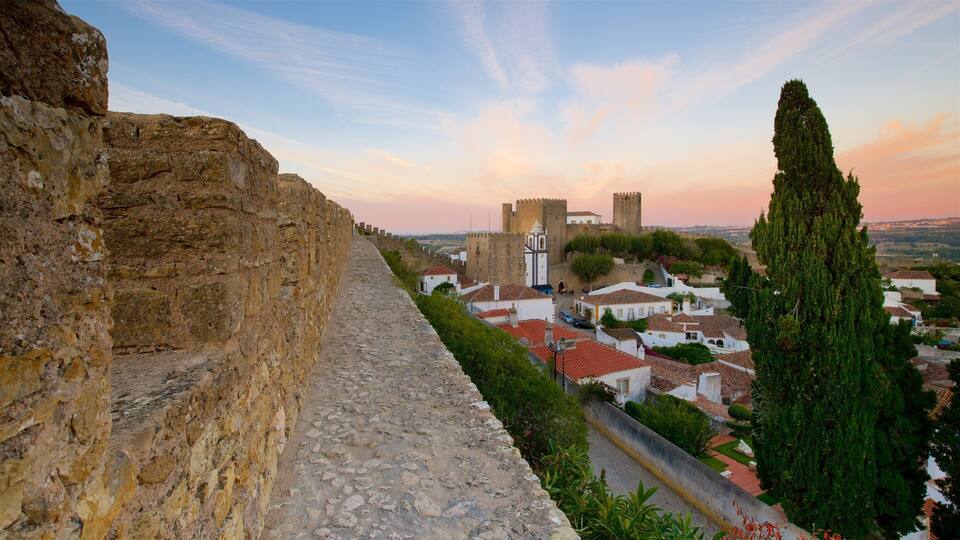 A stone wall, a castle, and a town with red-roofed buildings.