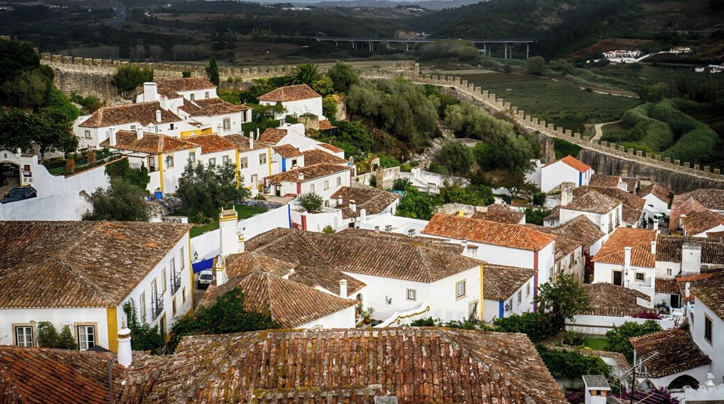 Óbidos is a Portuguese town in the district of Leiria, in the Centre Portuguese region and close to the Atlantic Ocean coast. The name Óbidos comes from the Latin “oppidum”, which means “fortified city”. Definitely a "must see destination" on your next trip to this surprising country.
Find more here http://bit.ly/1NjgnA5