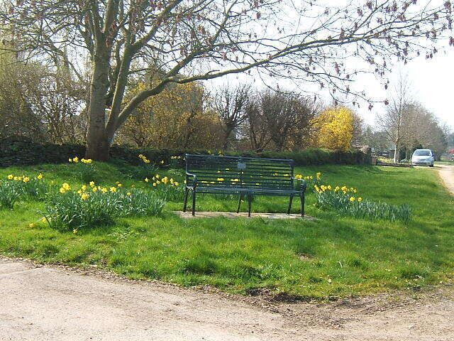 A quiet corner This bench amongst the daffodils must be a boon for cyclists and walkers travelling these lanes.