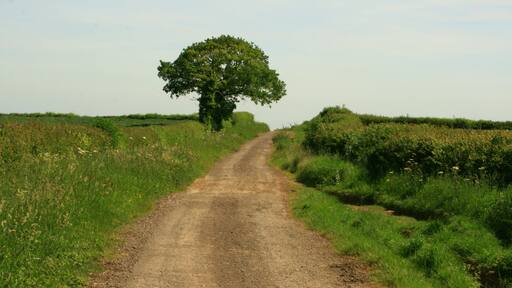 Fosse Way Fosse Way south west of Malmesbury not tarmaced, but a good surface to cycle on.