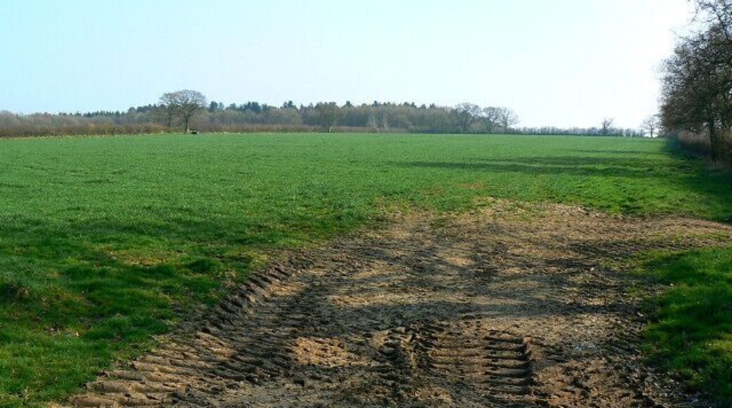 Bridleway near Grove Farm The bridleway heads south from here and terminates at the minor road to Queen Street.