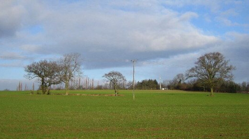 Farmland Near Meriden. The view from the footpath towards Eaves Green Road, looking north.