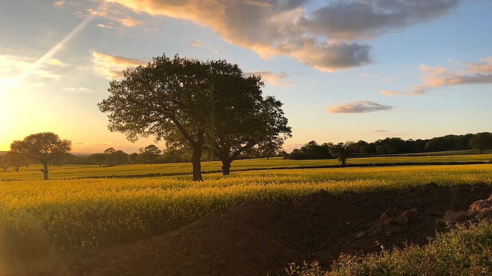 Sun setting in May 2018 in Meriden, traditionally known as the center of England