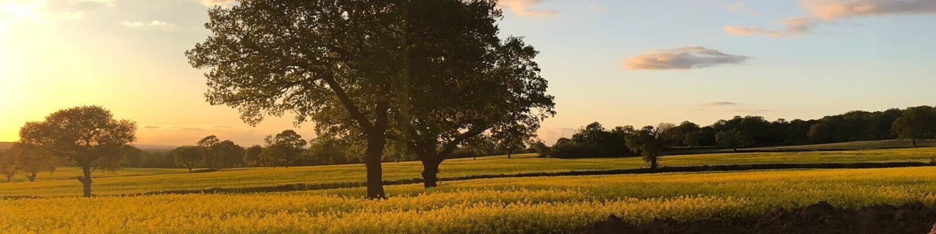 Sun setting in May 2018 in Meriden, traditionally known as the center of England