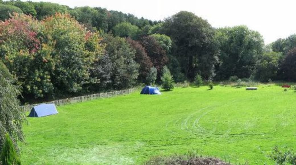 Budleigh Farm campsite The building just visible on the right was/is a shooting gallery.
