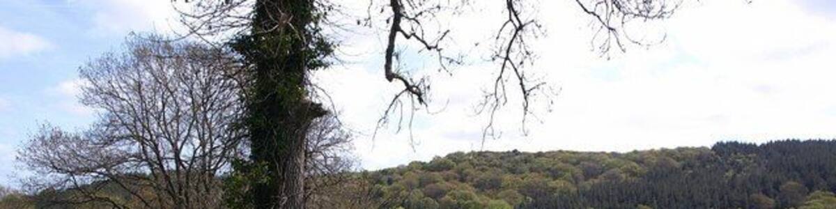 Bridleway near Leign. Moretonhampstead Bridleway 18 at the western end of the walled section also shown in 1291945. Through the gateway can be seen the valley below Doccombe.