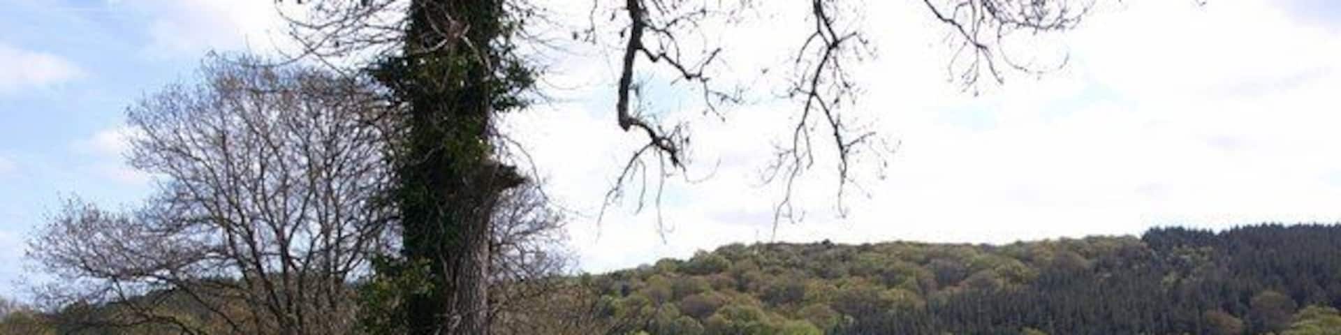 Bridleway near Leign. Moretonhampstead Bridleway 18 at the western end of the walled section also shown in 1291945. Through the gateway can be seen the valley below Doccombe.