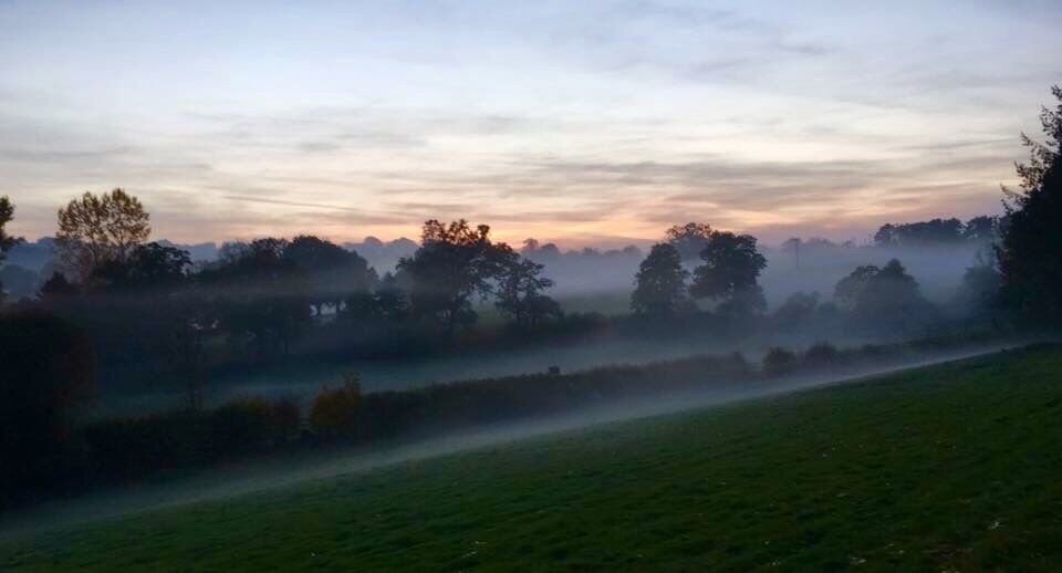 A misty landscape with trees and a field.