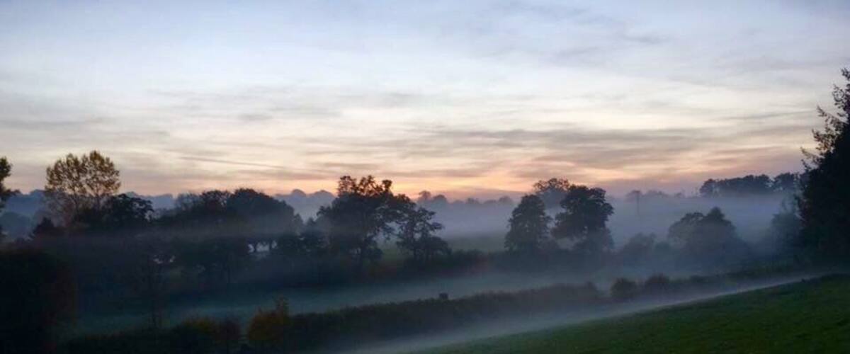A misty landscape with trees and a field.