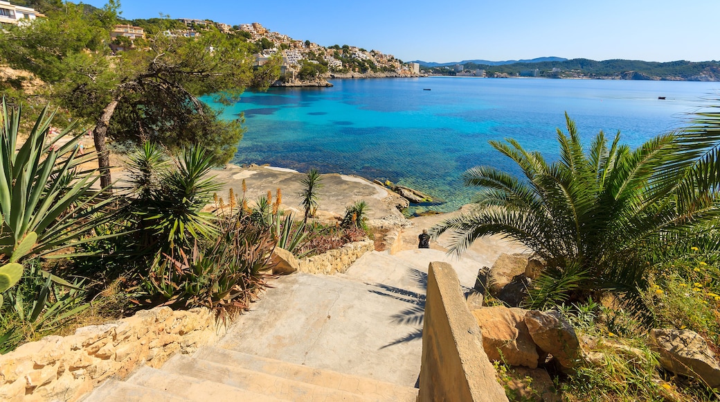 Beautiful bay beach turquoise sea water, Cala Fornells, Majorca island, Spain