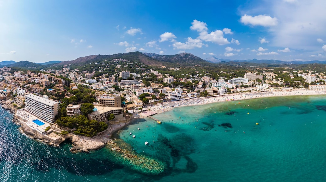 Spain, Balearic Islands, Mallorca, Region Calvia, Costa de la Calma, Peguera, Cala Fornells