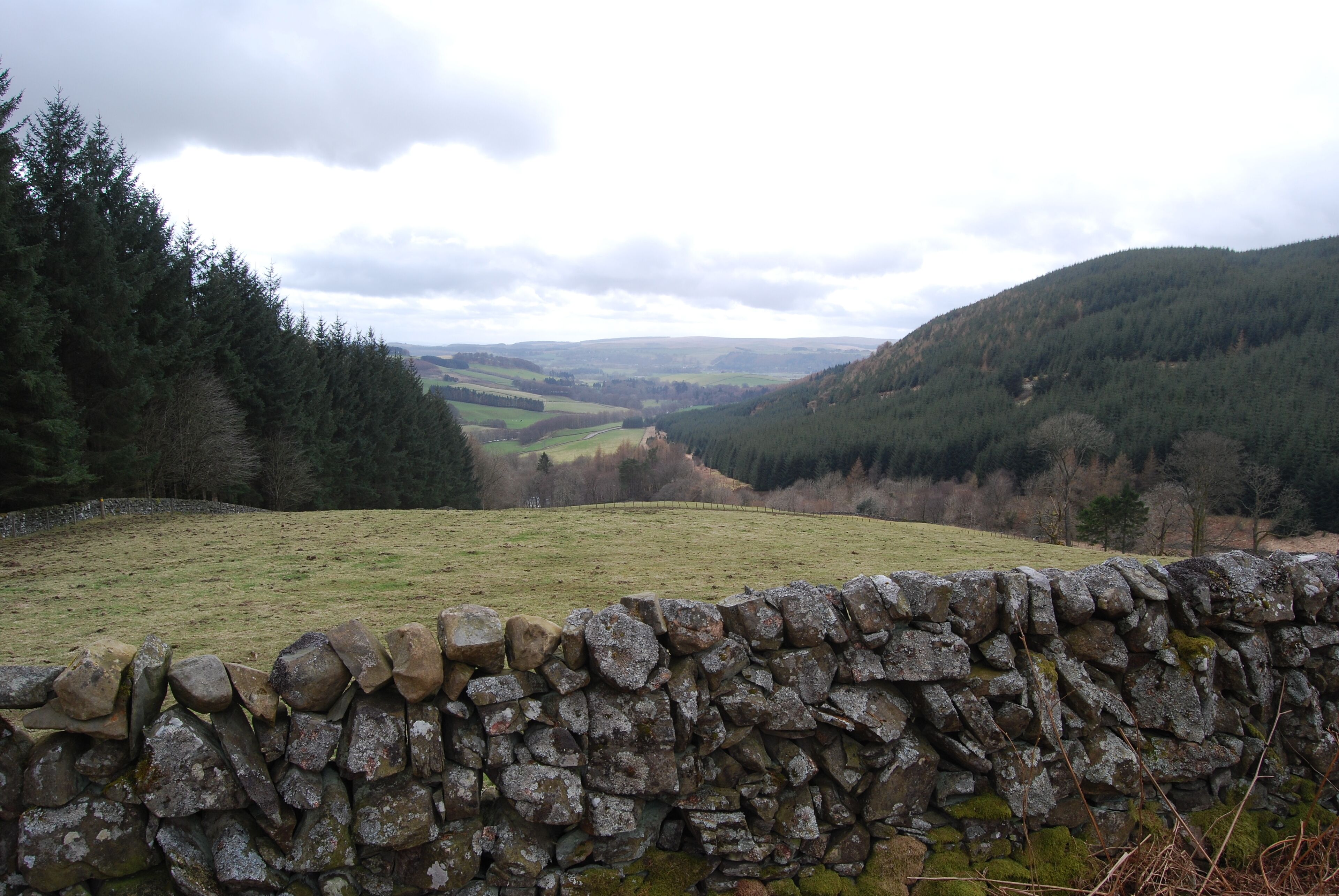 View past stone dyke down the Craigie Burn to Annandale