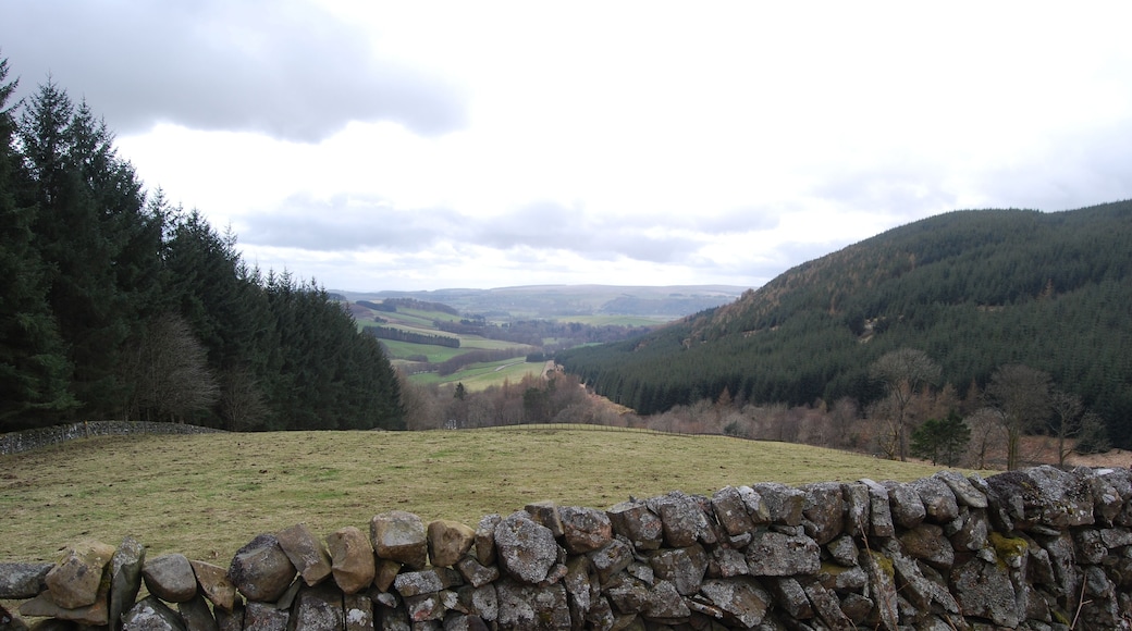 View past stone dyke down the Craigie Burn to Annandale