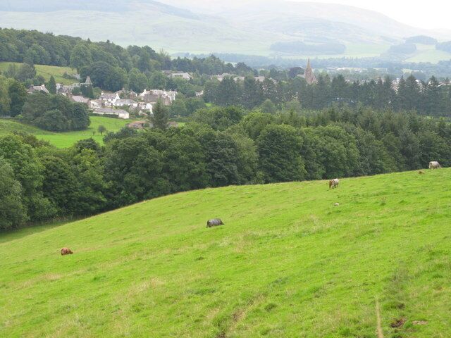 Farmland North of Moffat Moffat can be seen in the distance through the trees.