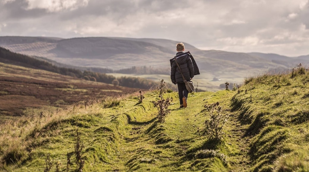 The Annandale Way is accessible by walking out of Moffat along Beechgrove. This is a photo of my son I took about 5 miles out from Moffat.