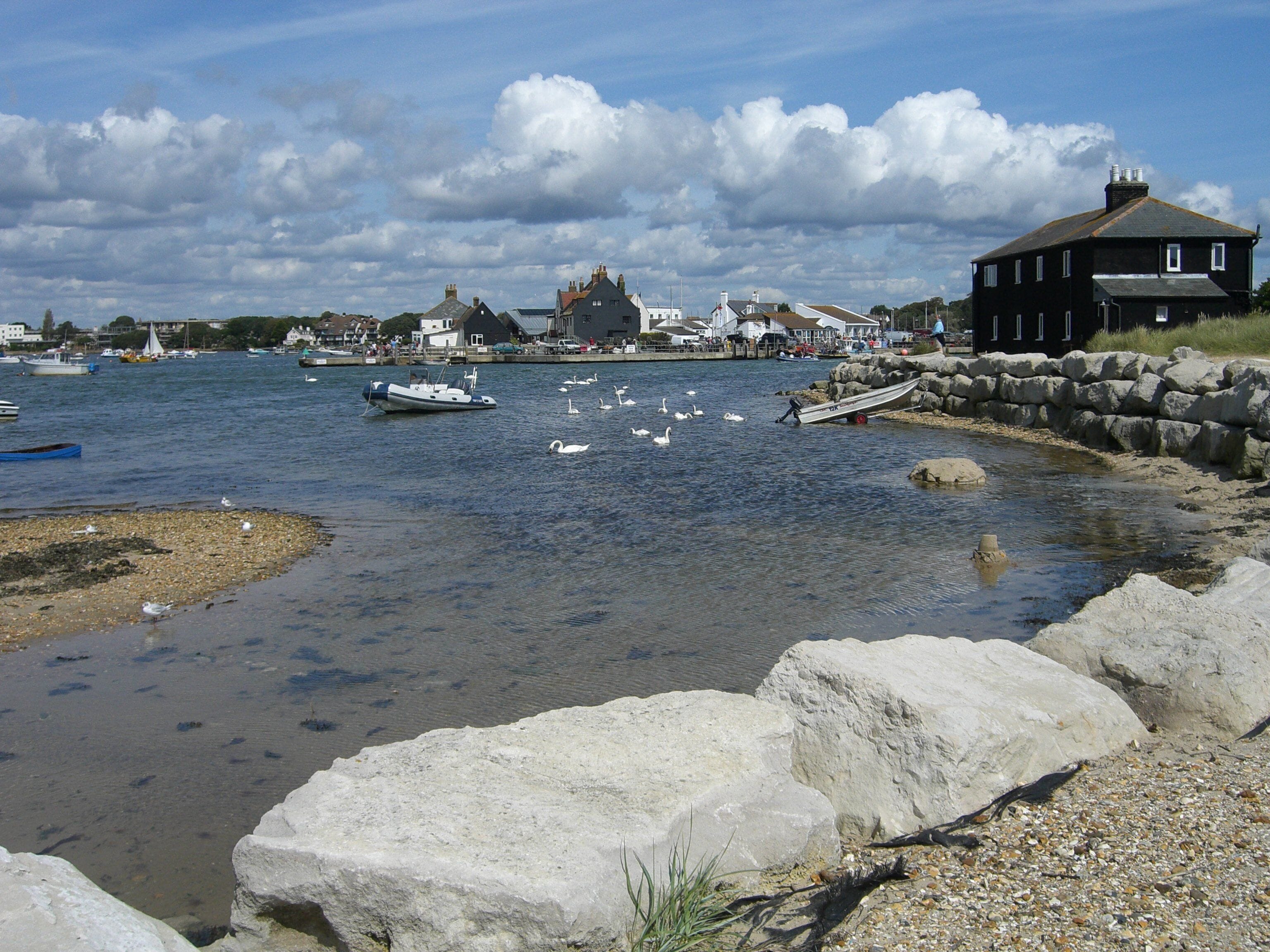 A calm harbor with boats, swans, and a rocky shoreline.