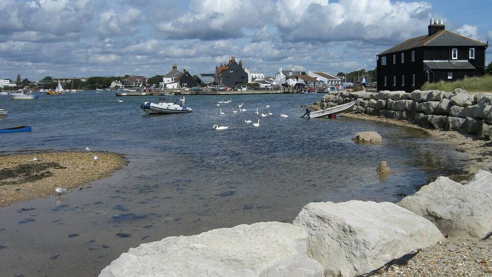 A calm harbor with boats, swans, and a rocky shoreline.