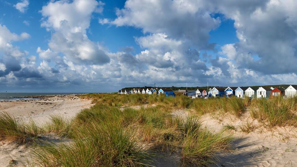A beach with dunes and colorful beach huts.