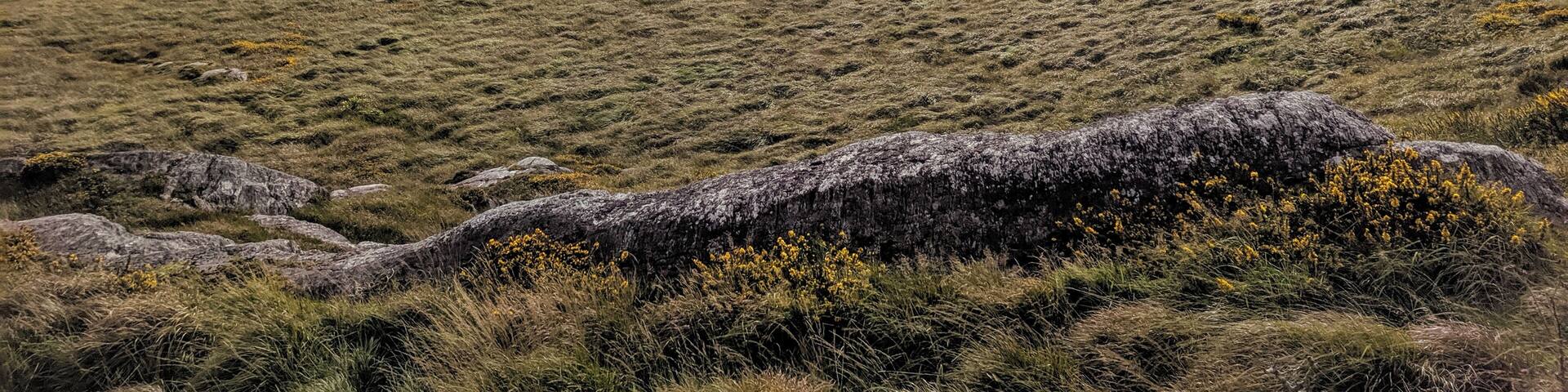 Ring of Kerry has Jems like this all along the coast.
#trovember #outdoors #ringofkerry #kerry #ireland #seashore