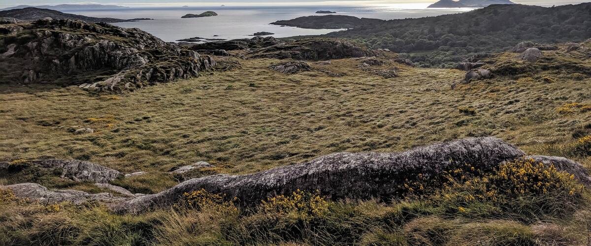 A rugged landscape with rocky terrain and grassy areas.