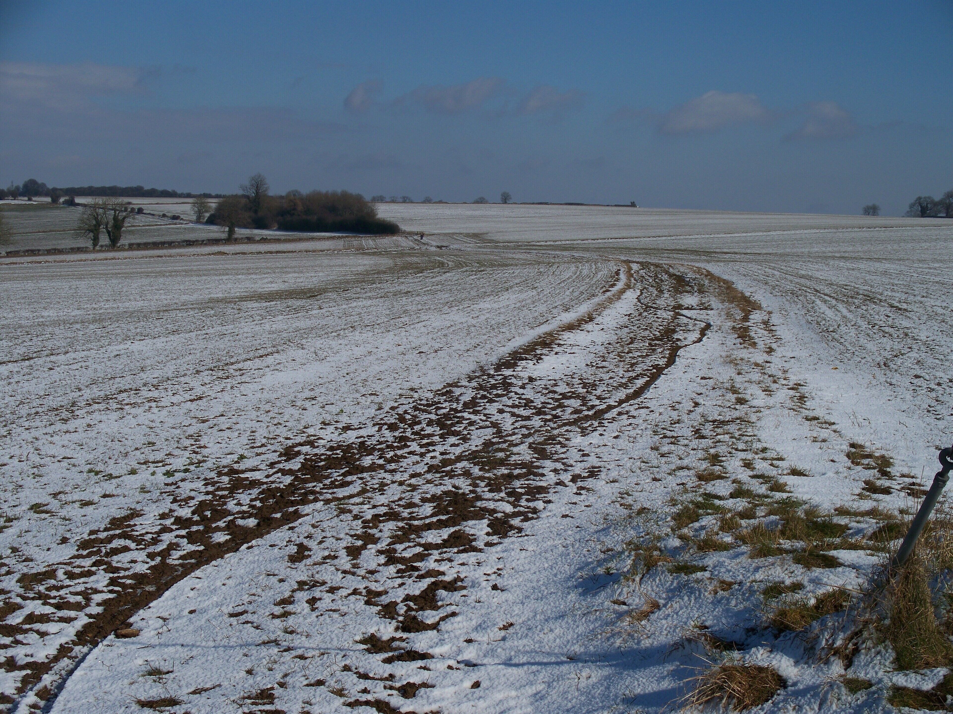 Cross bridleways [1] Near the crest of the ridge, two well-used bridleways meet. One ascends the ridge from Little Compton and ends shortly when it meets the minor road. The other, part of the Macmillan Way long distance path, runs along the ridge and ends shortly when it meets the A44. This is the view looking north east.