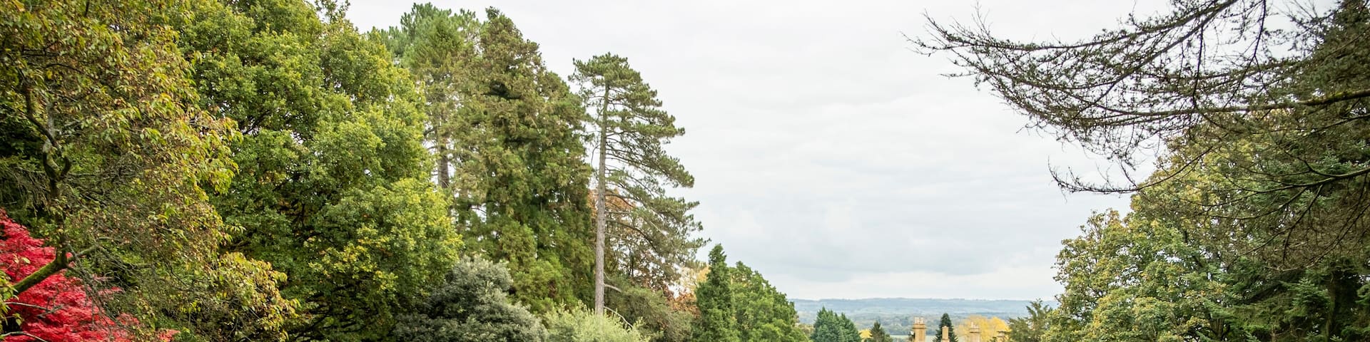 Autumn colour at Batsford arboretum, Morton-in-Marsh, Cotswolds UK