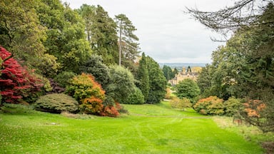 Autumn colour at Batsford arboretum, Morton-in-Marsh, Cotswolds UK