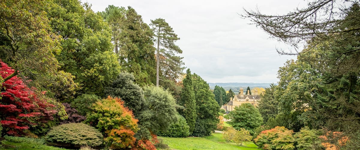 A lush garden with a variety of trees, including red and green foliage, and a distant view of a building.