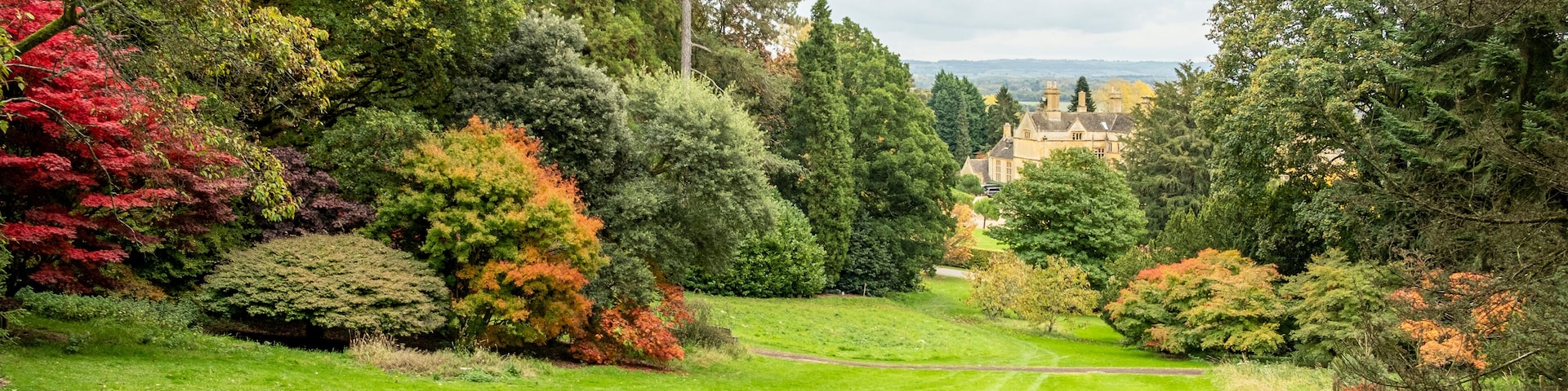 A lush garden with a variety of trees, including red and green foliage, and a distant view of a building.