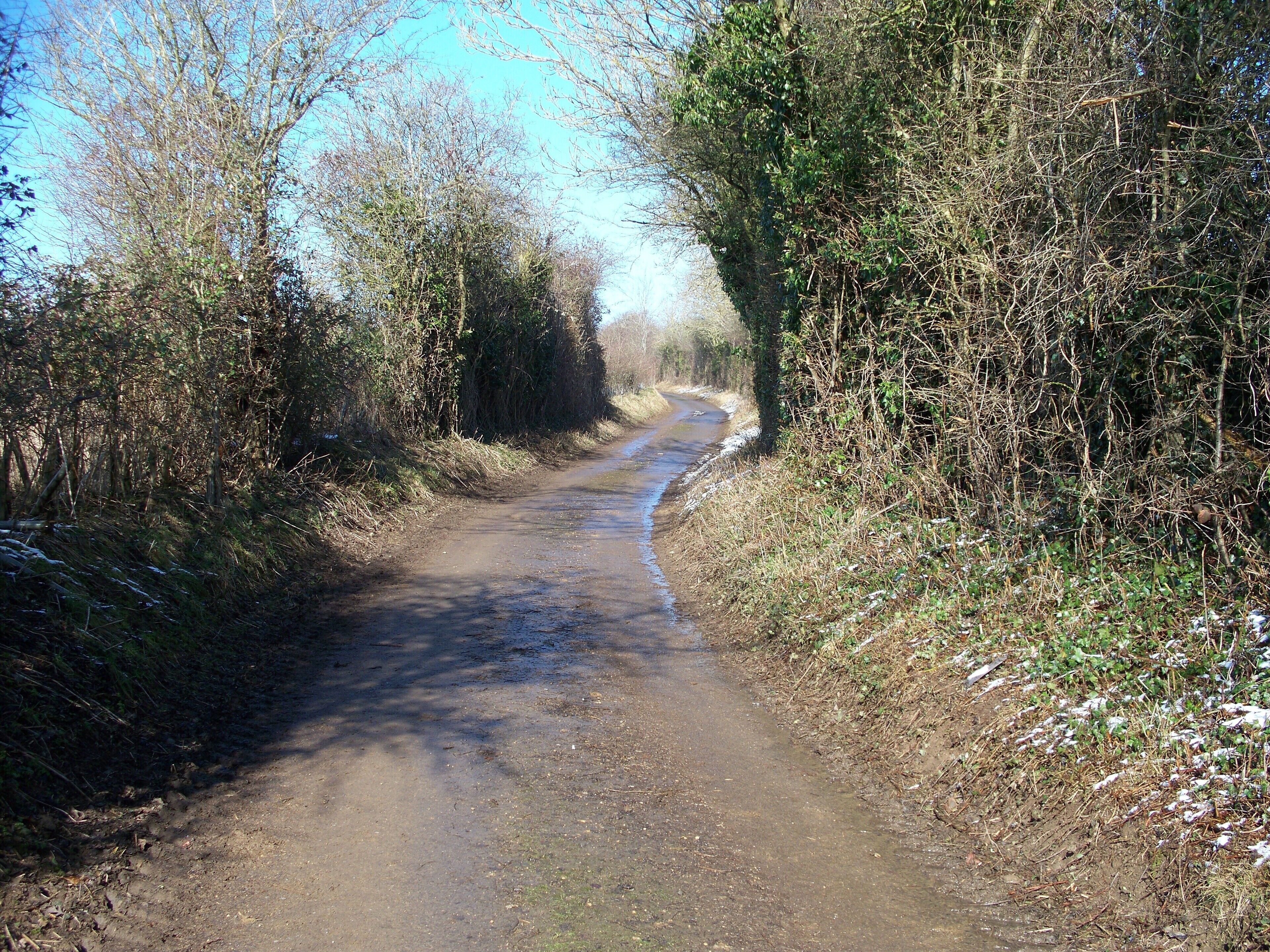 Road to the farms This minor road which runs from the A44 to Cornwell and leads to Hollis Hill Farm and Park Farm, is signposted as unsuitable for motors.