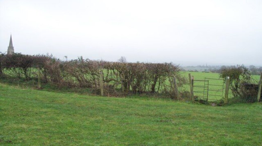 Paths cross One footpath runs across the image in front of the hedge. The other runs from behind the camera straight on.