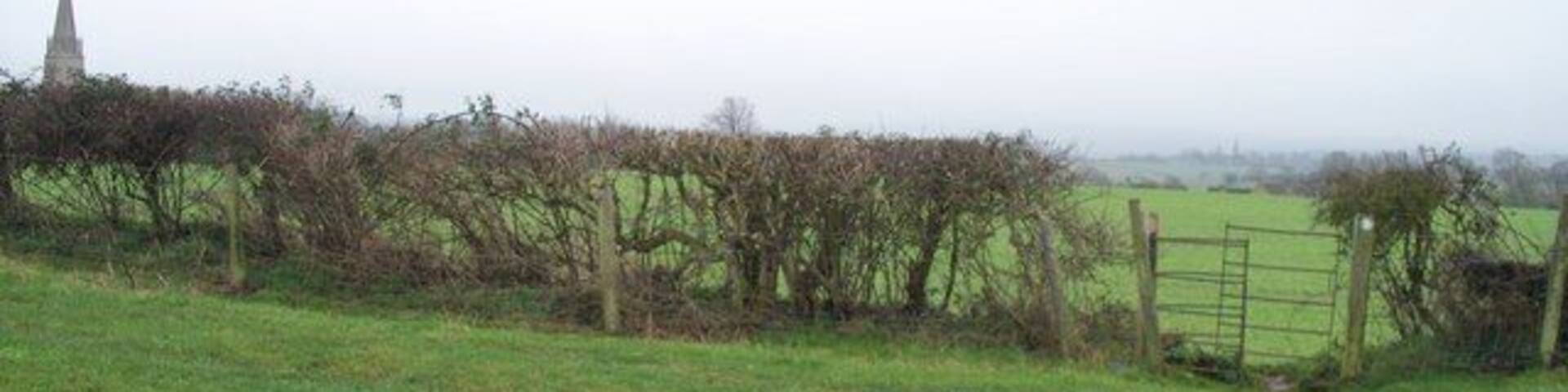 Paths cross One footpath runs across the image in front of the hedge. The other runs from behind the camera straight on.
