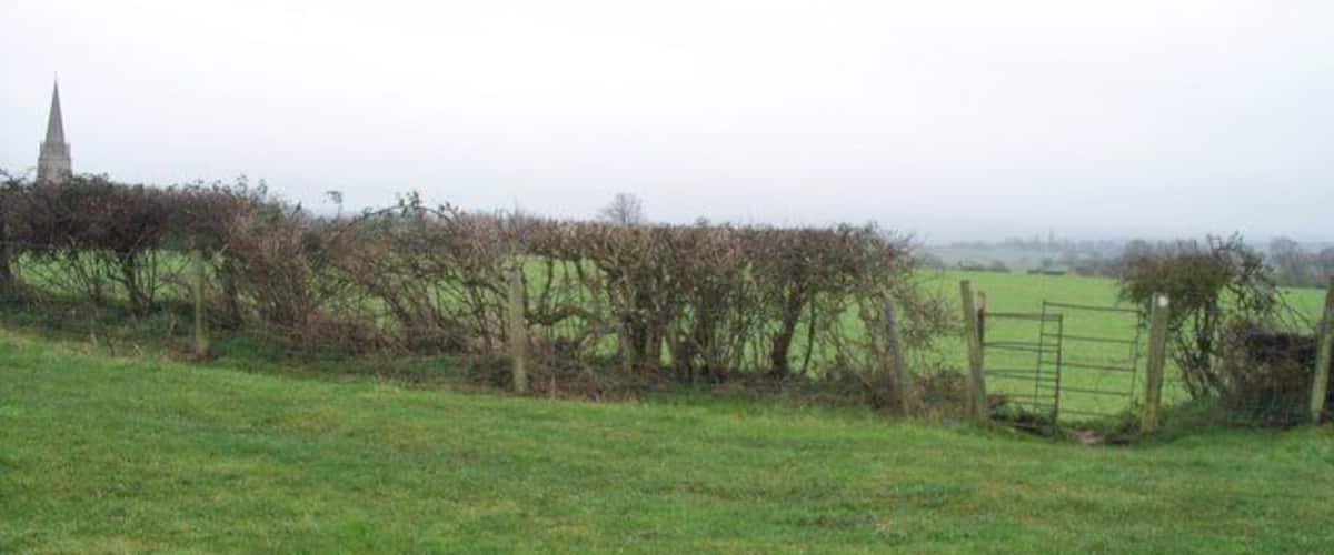 A rural landscape with a grassy field, a wooden fence, and a distant church spire.