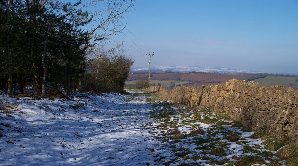 Top of the ridge From the crest of the ridge, the view is down the bridleway. This bridleway and the other (the Macmillan Way) cross by the electricity pole. Ebrington Hill in the far distance.