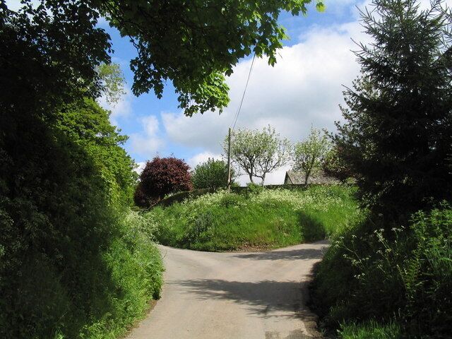 A narrow rural road flanked by dense greenery and trees.
