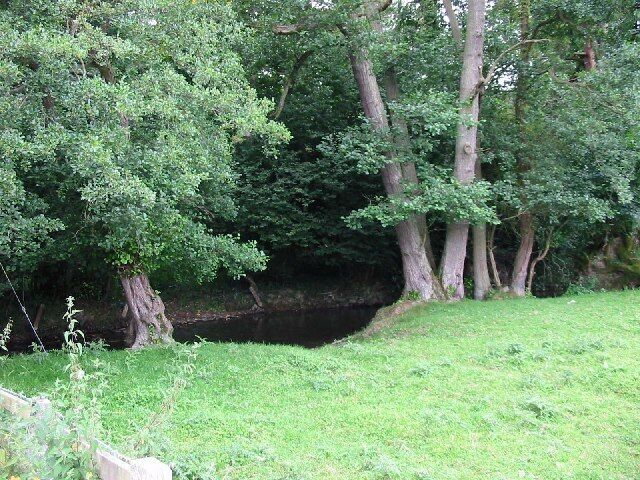 The Hindwell Brook near Combe. The Hindwell runs across the centre of the square. The Welsh border is a few yards to the right