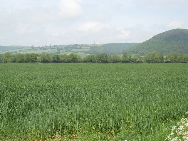 A vast green field with rolling hills in the background.