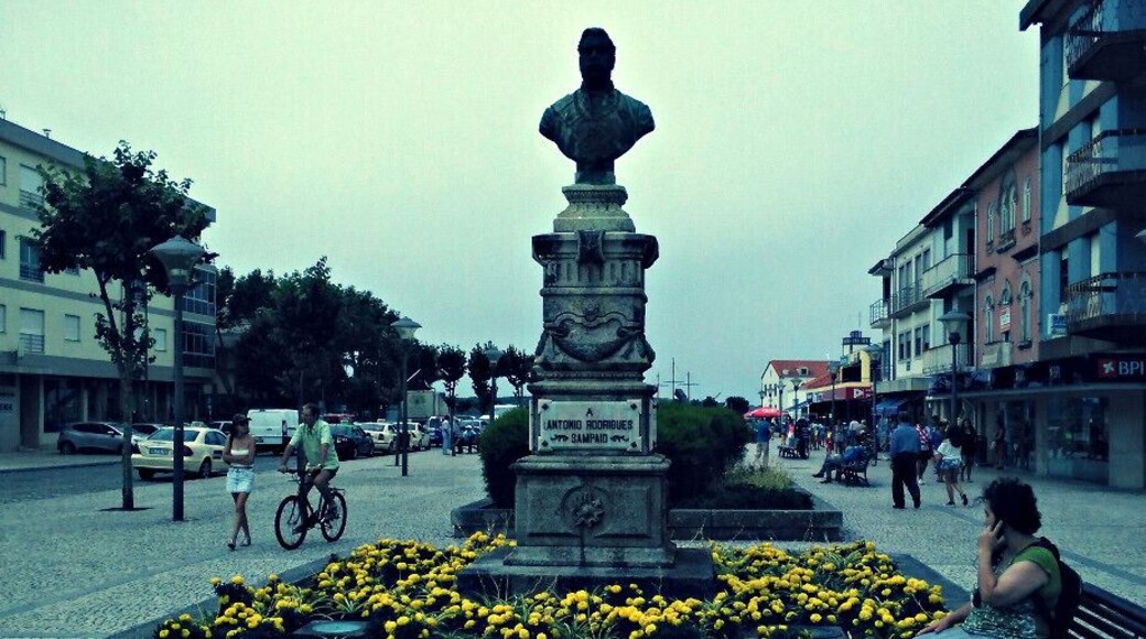 Statue of António Rodrigues Sampaio.
#esposende #portugal