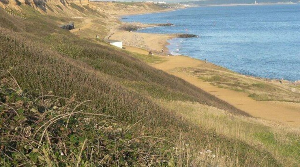 Barton on Sea: cliffs Looking east, the lighthouse at Hurst Point can be seen far right of picture.